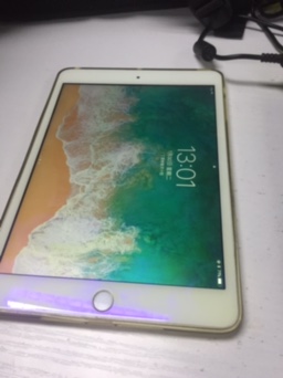 iPad mini3  16G